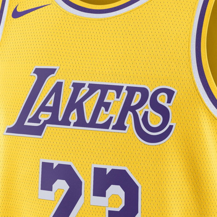 NBA Lebron James Los Angeles Lakers Icon Edition 2023/2024 23 Jersey