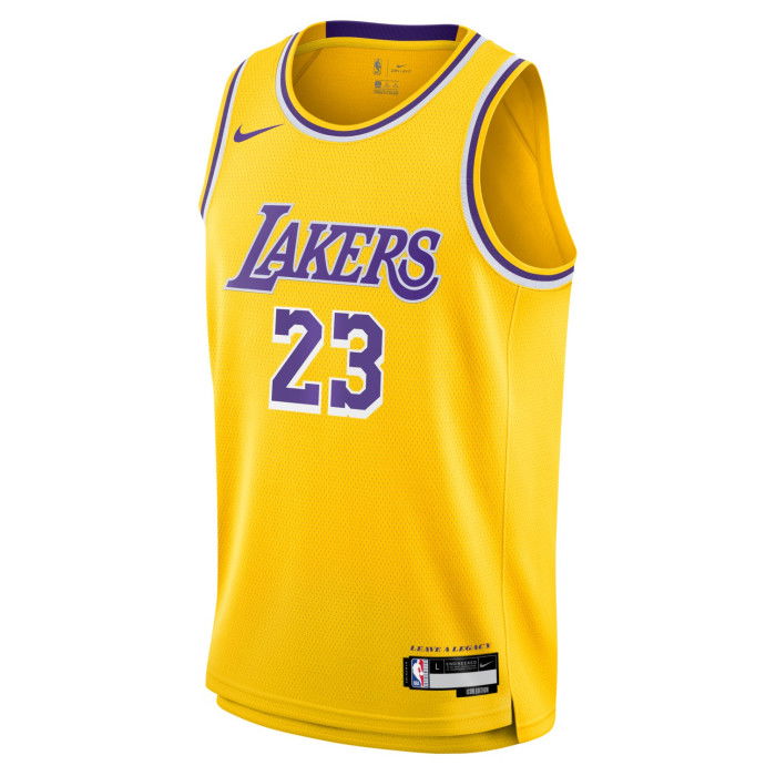 NBA Child LeBron James Los Angeles Lakers Jersey Nike Icon Edition 23