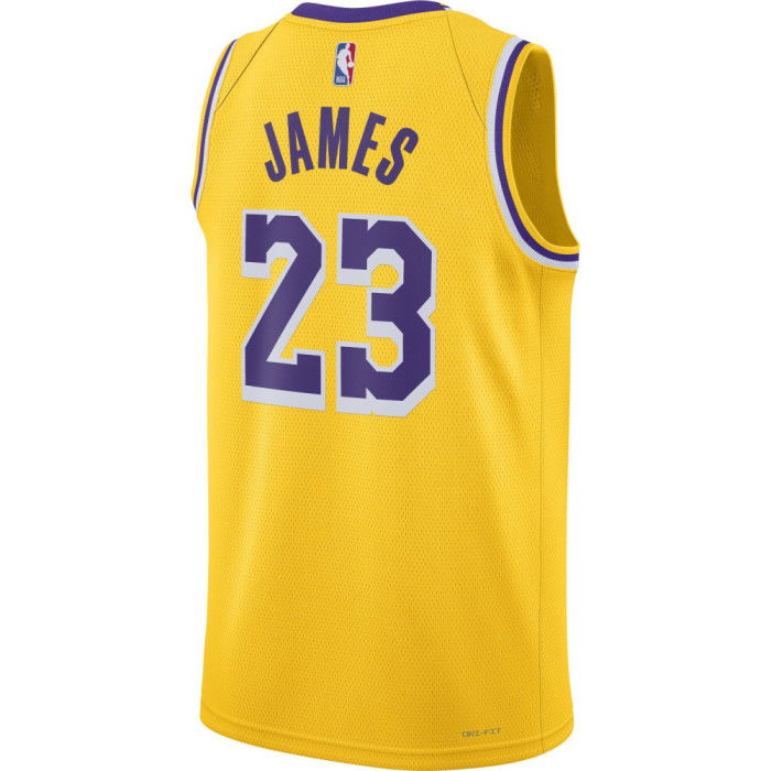 NBA Lebron James Los Angeles Lakers Icon Edition 2023/2024 23 Jersey